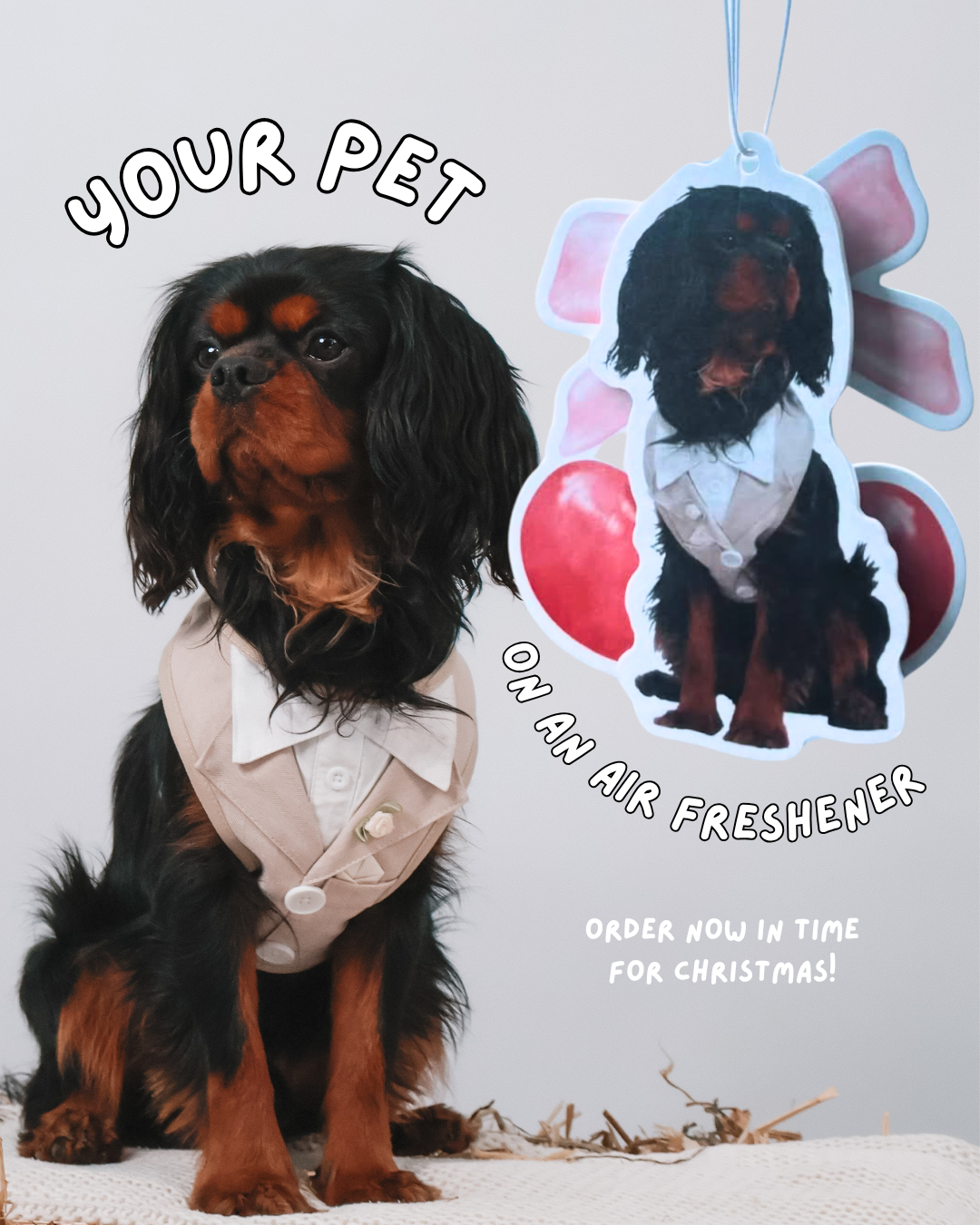 Custom Pet Car Air Freshener