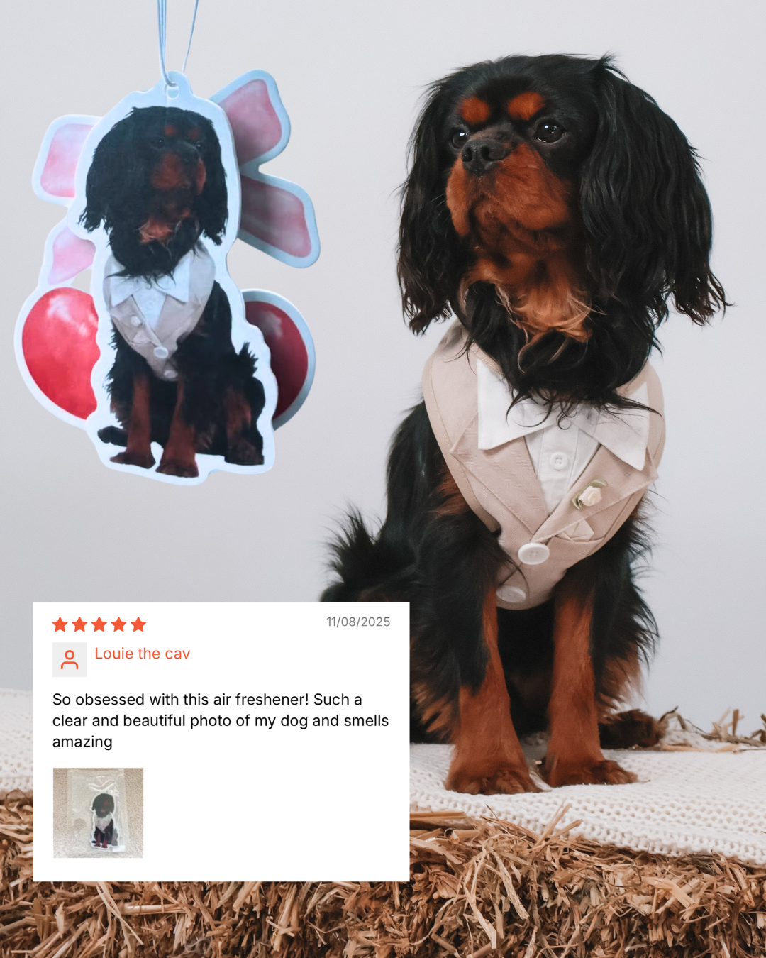 Custom Pet Car Air Freshener