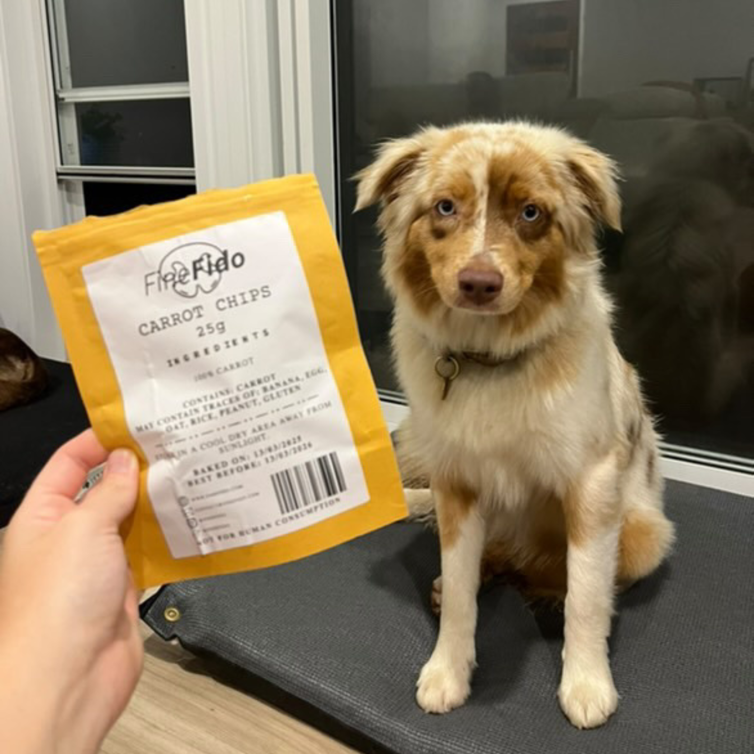Carrot Chips - Fine Fido