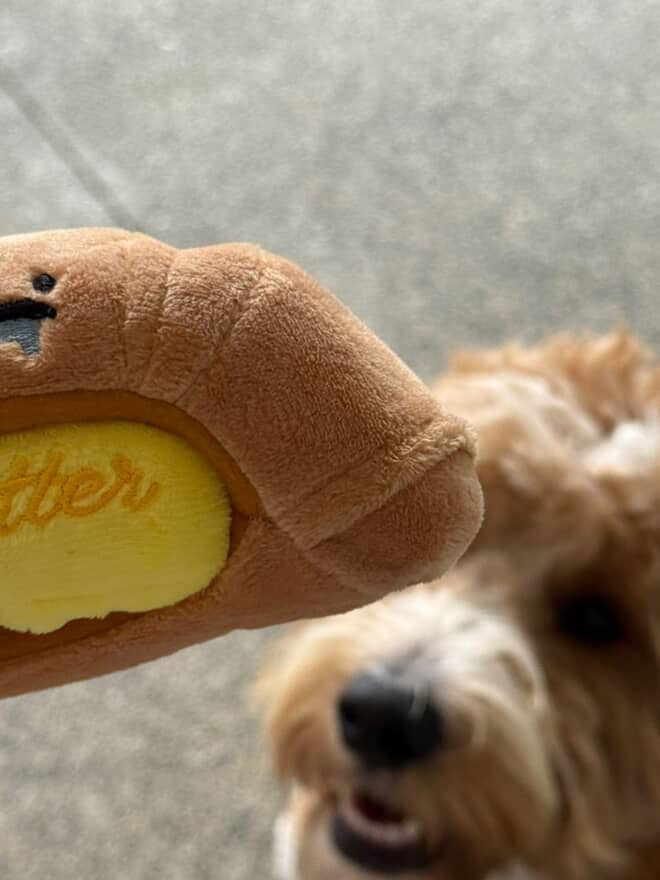 Croissant Toy