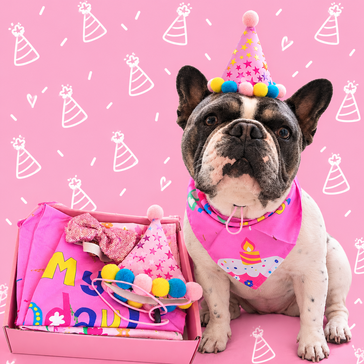 Birthday babe dog