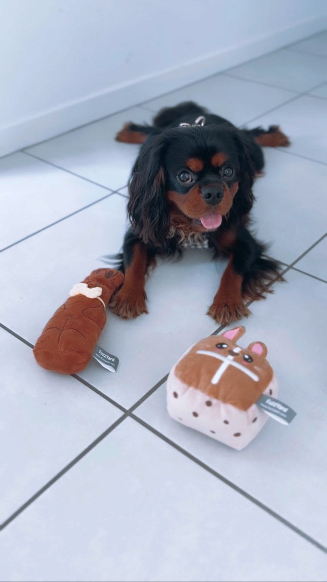 Themed Dog Subscription Box