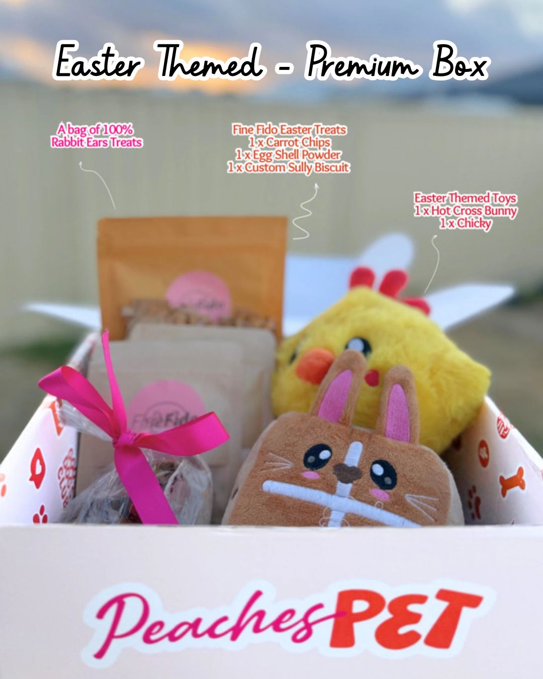 Themed Dog Subscription Box