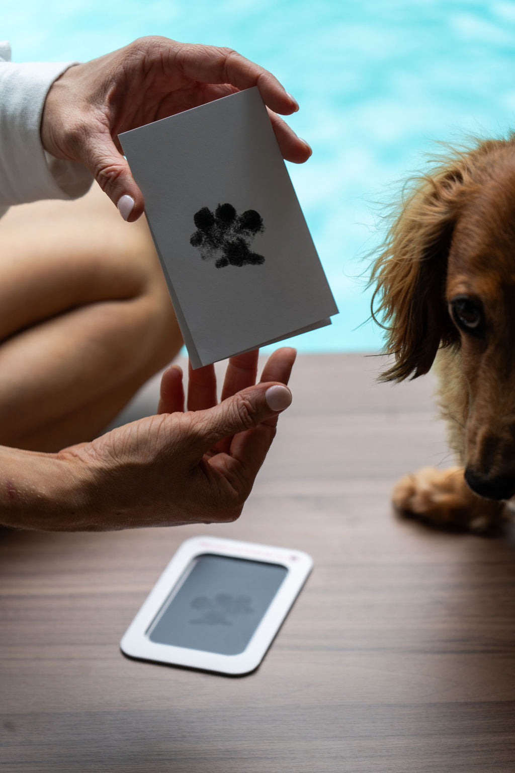 No-Mess Paw Print Kit
