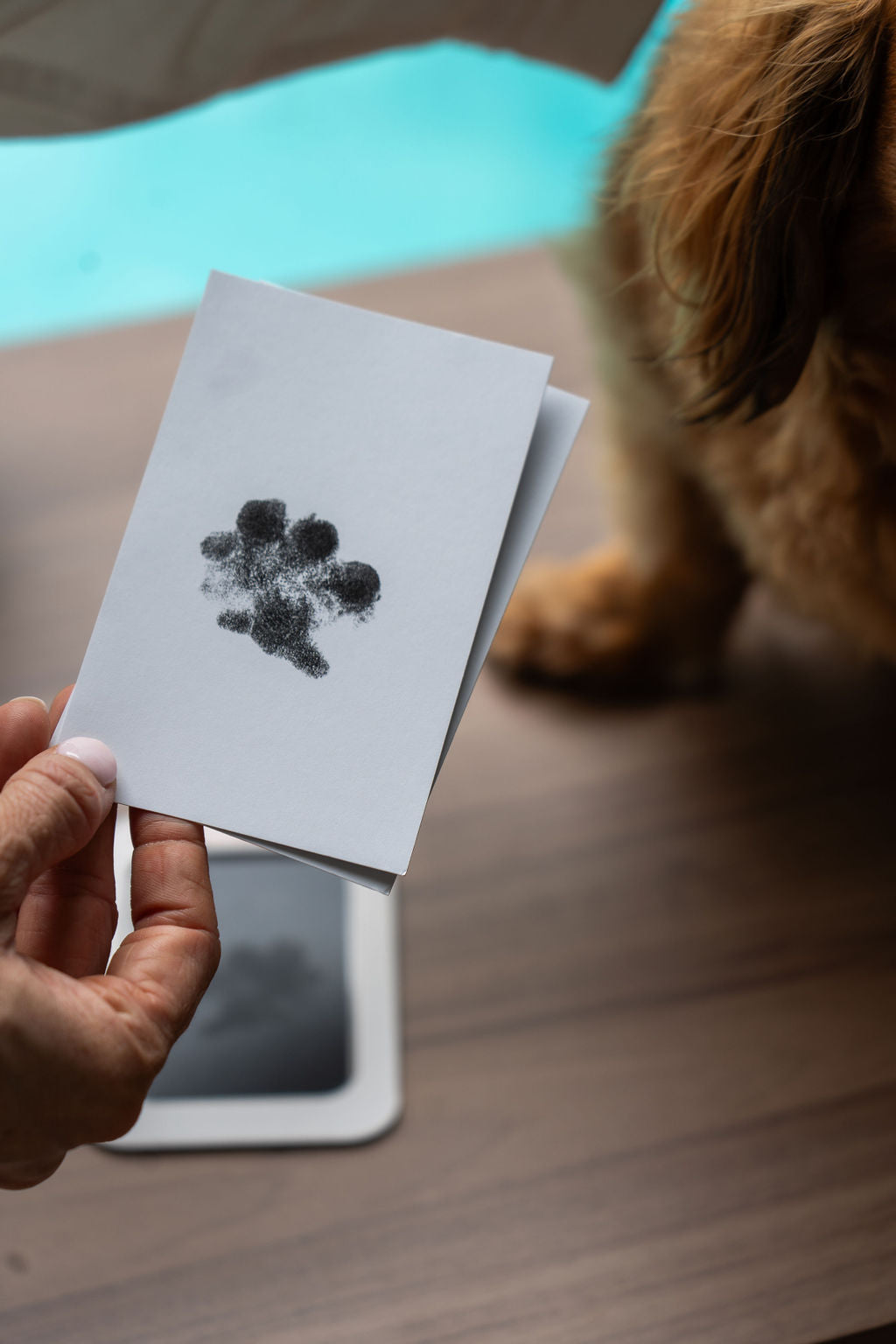 No-Mess Paw Print Kit