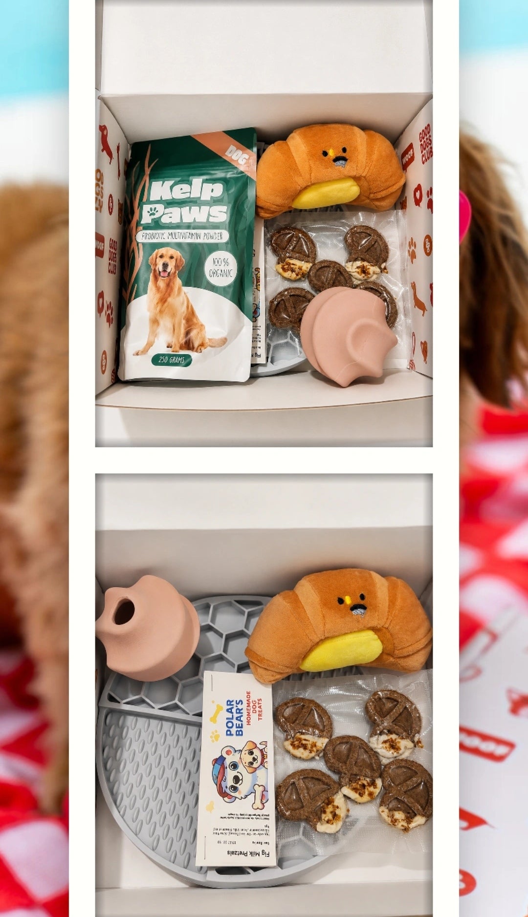 A pups activity box