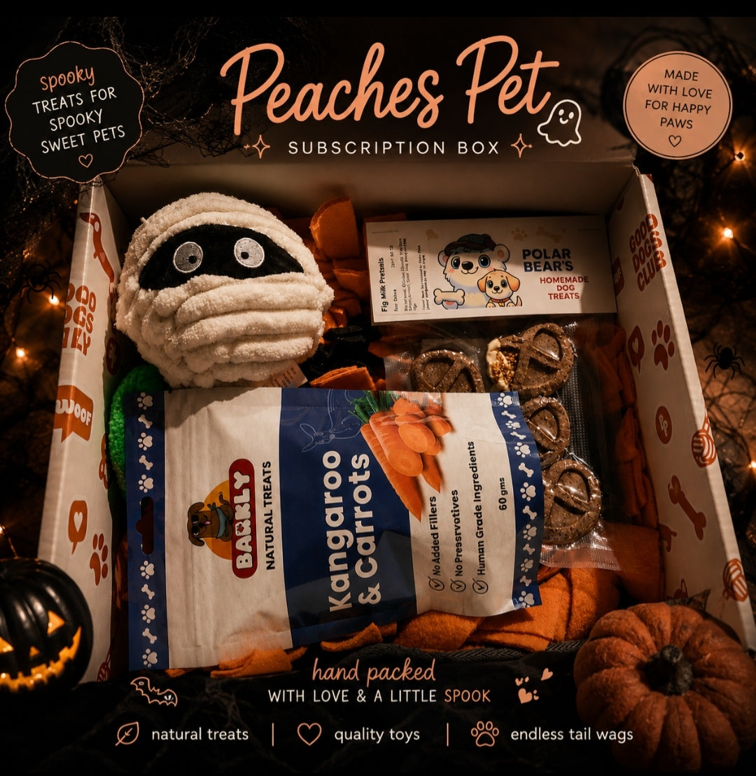 A Box of Spooktacular Surprises (Shipped 9th of October)