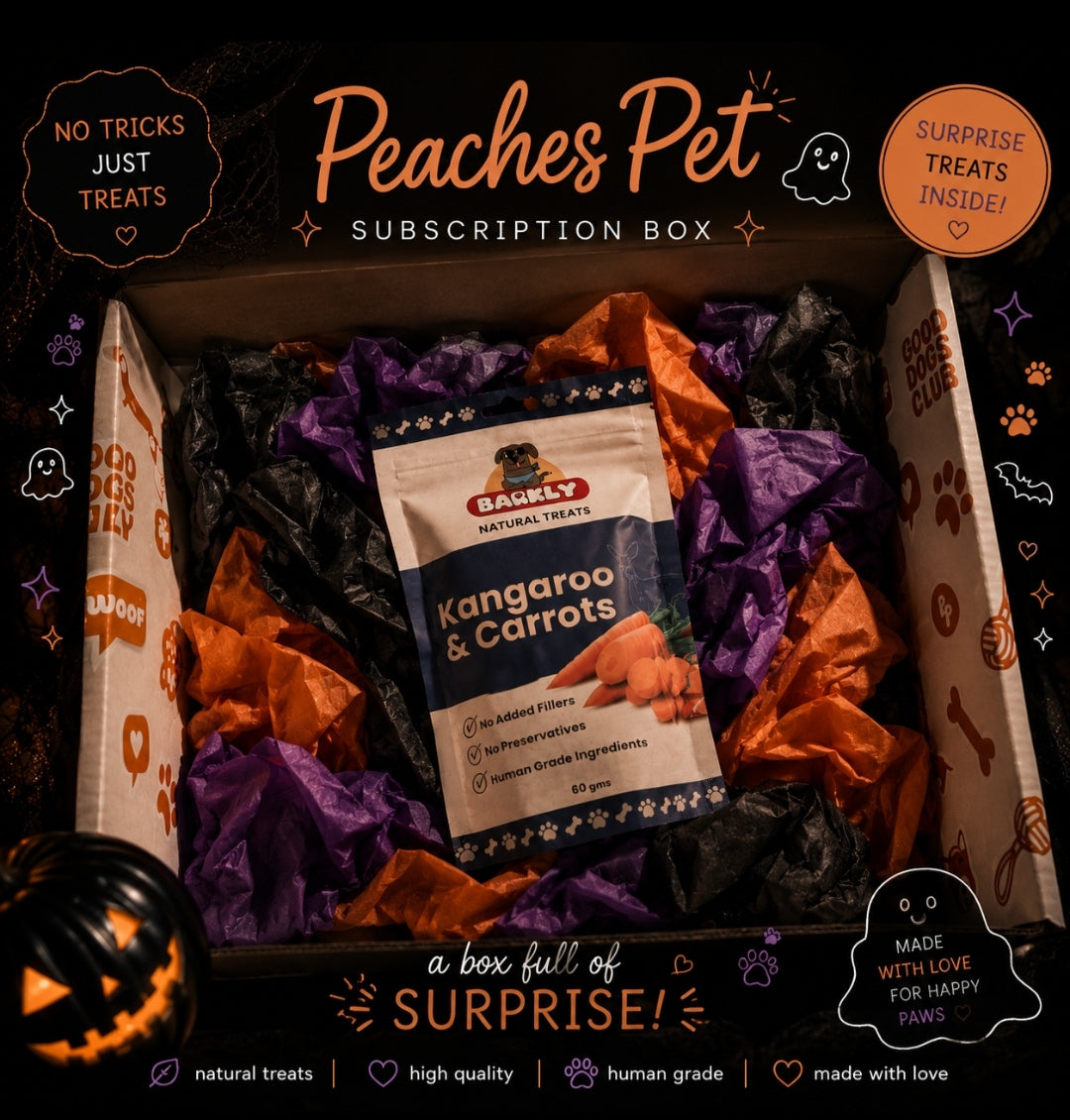 ALL TREATS AND NO TRICKS