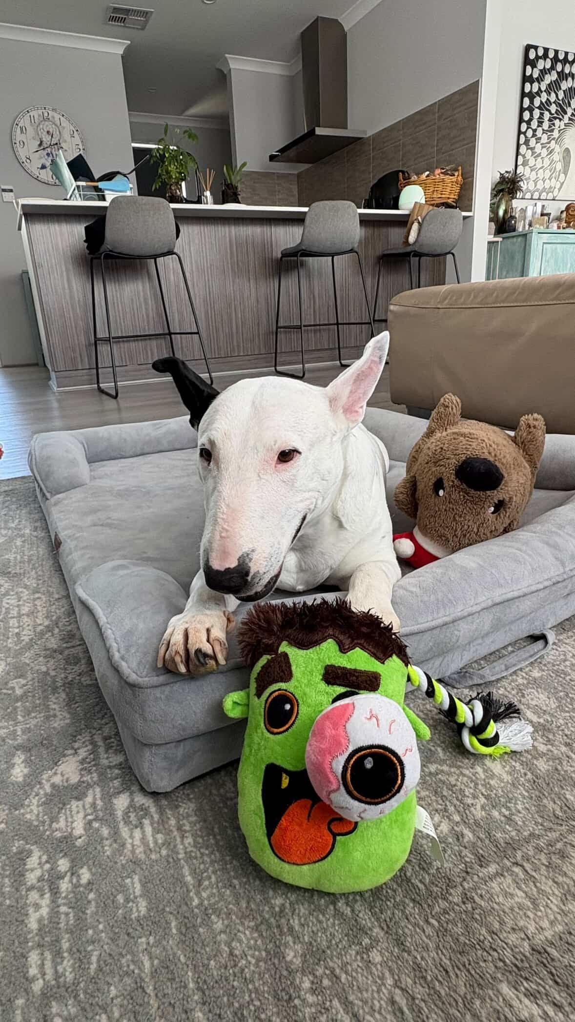 Spooky tug plush - Frank