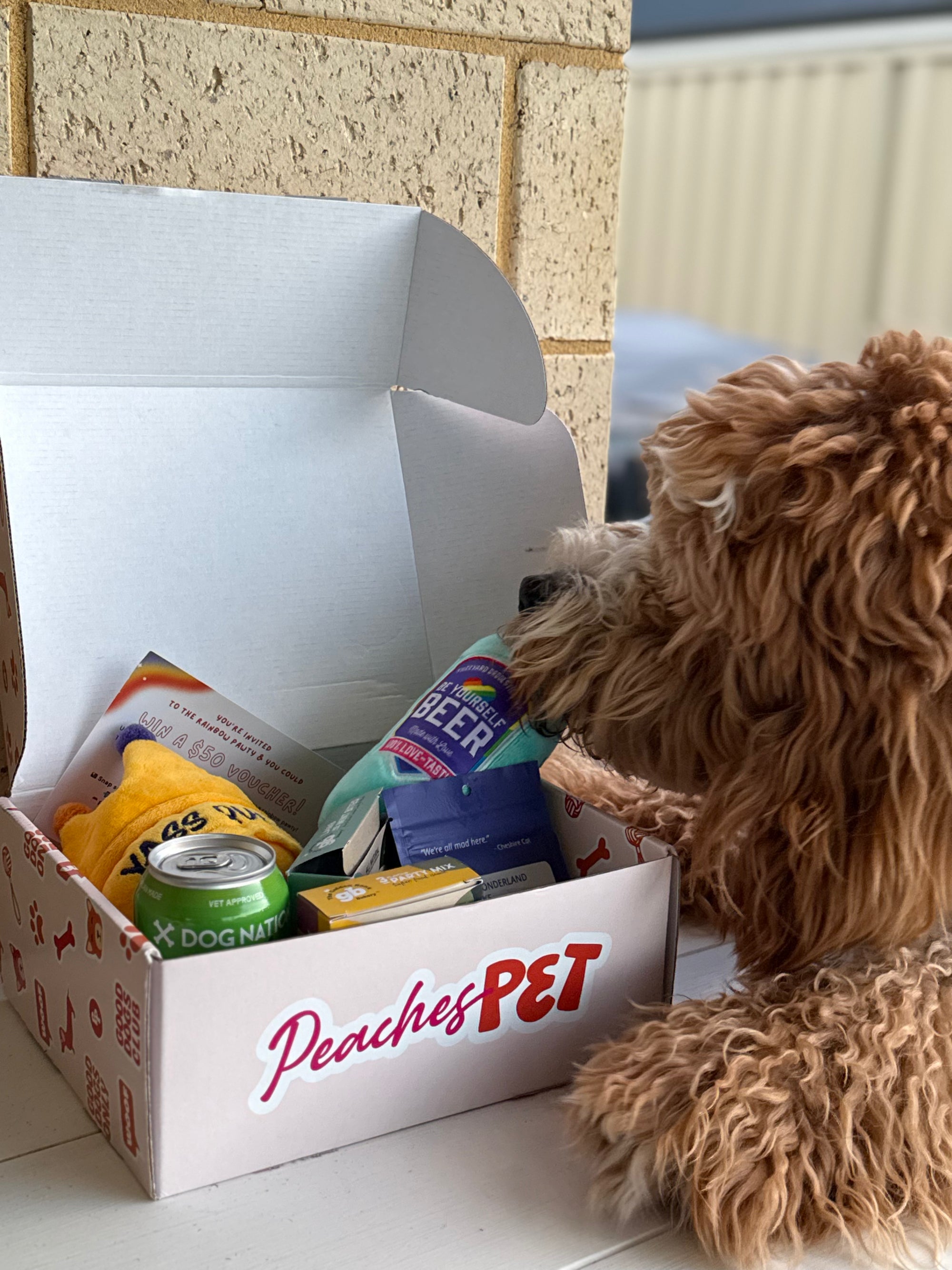 Themed Dog Subscription Box