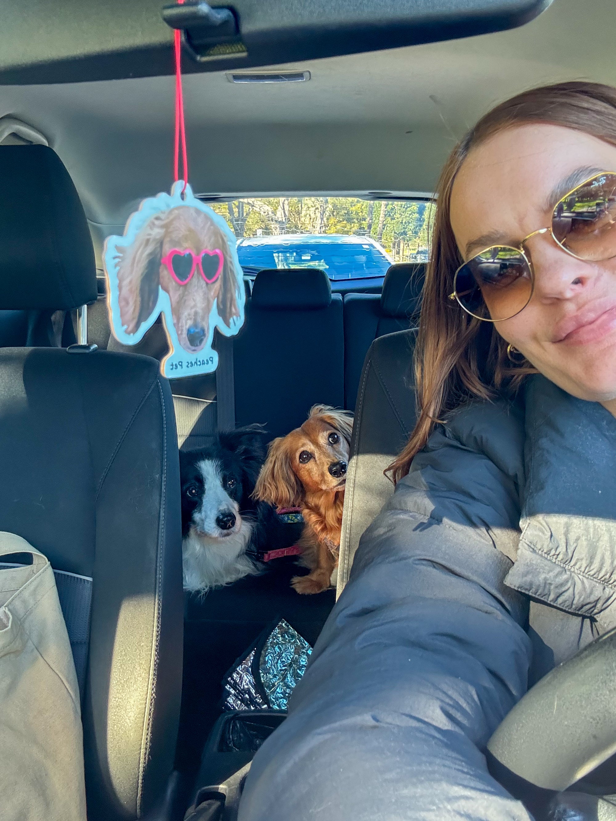 Custom Pet Car Air Freshener