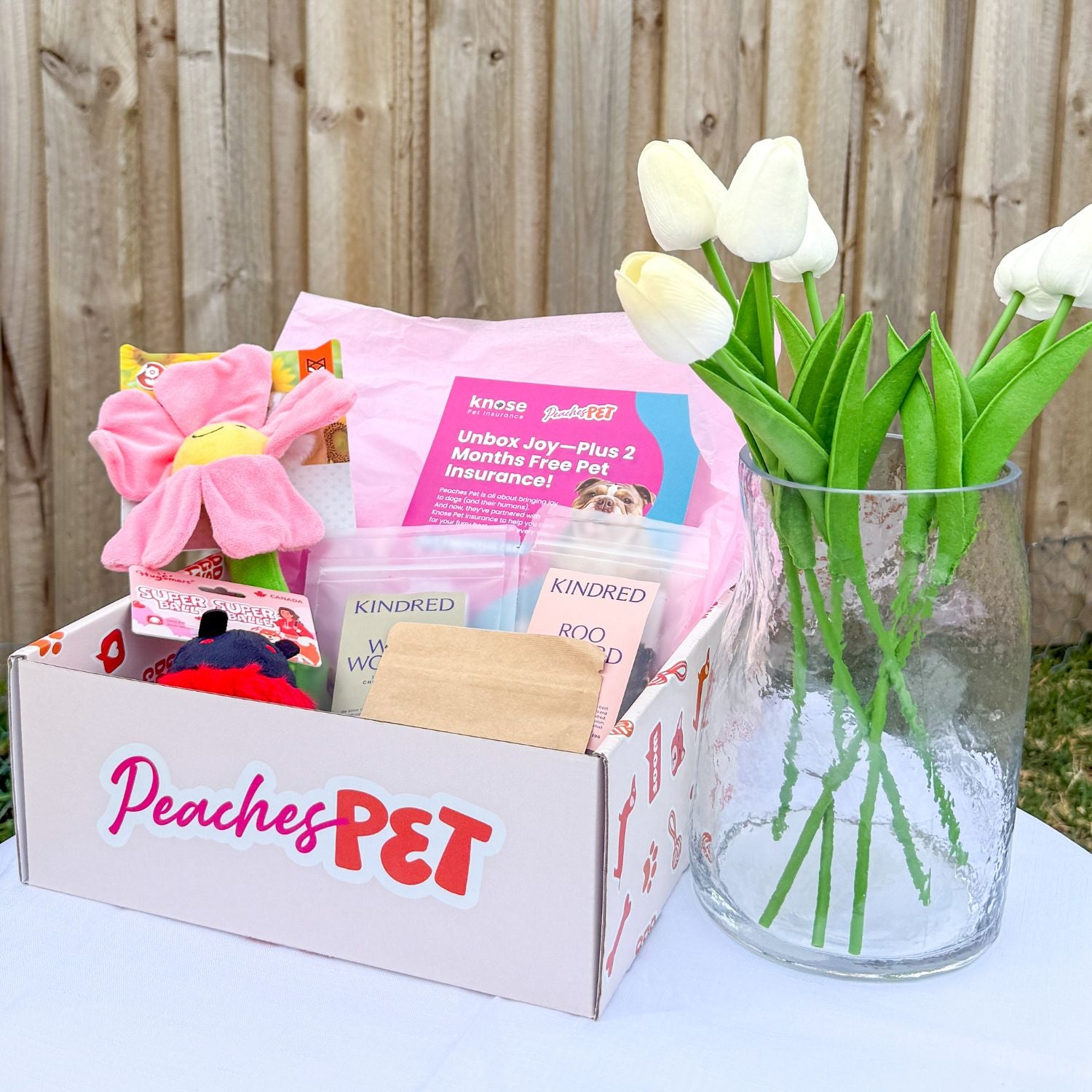 Spring Box - 'Pup in Full Bloom'