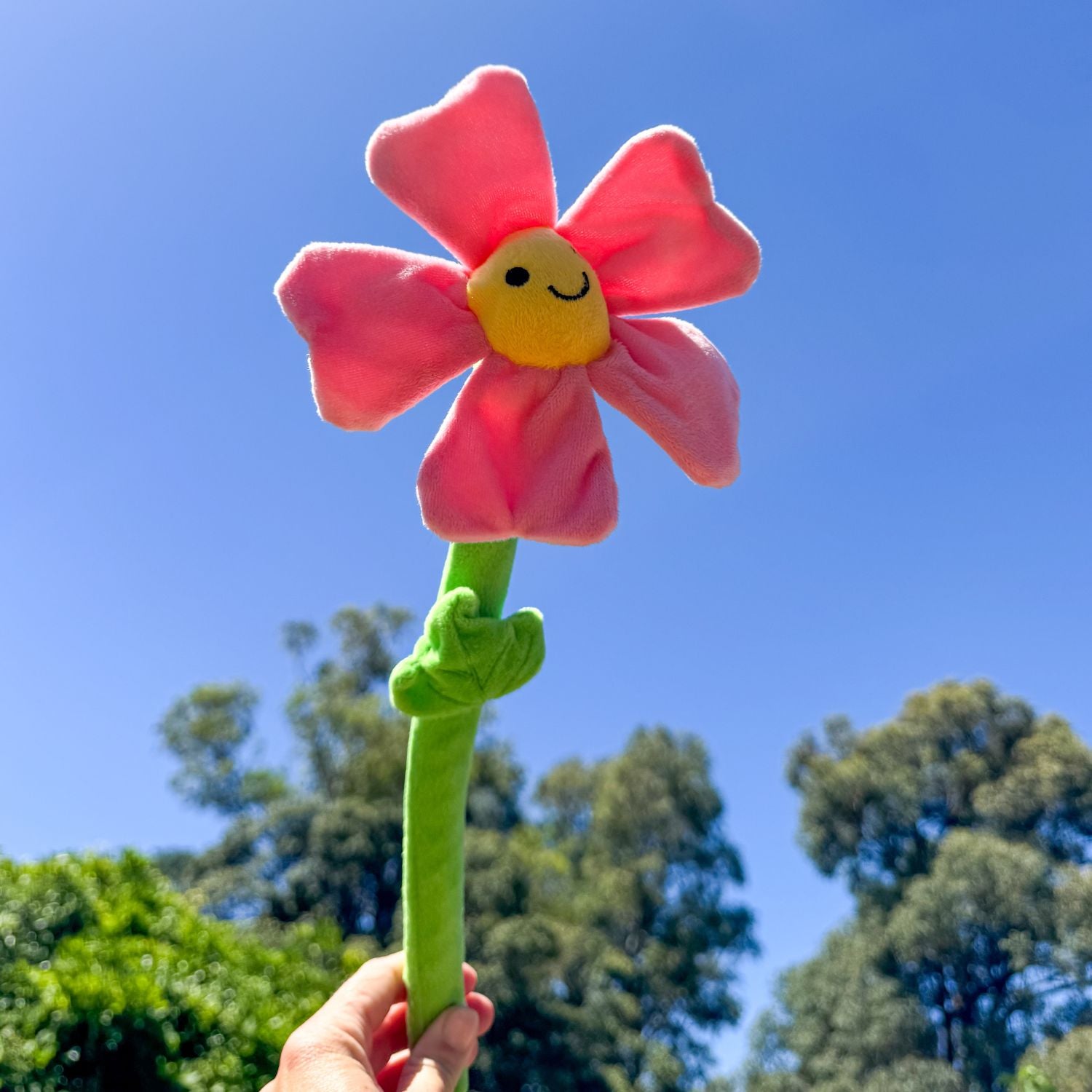 Flower Power Toy