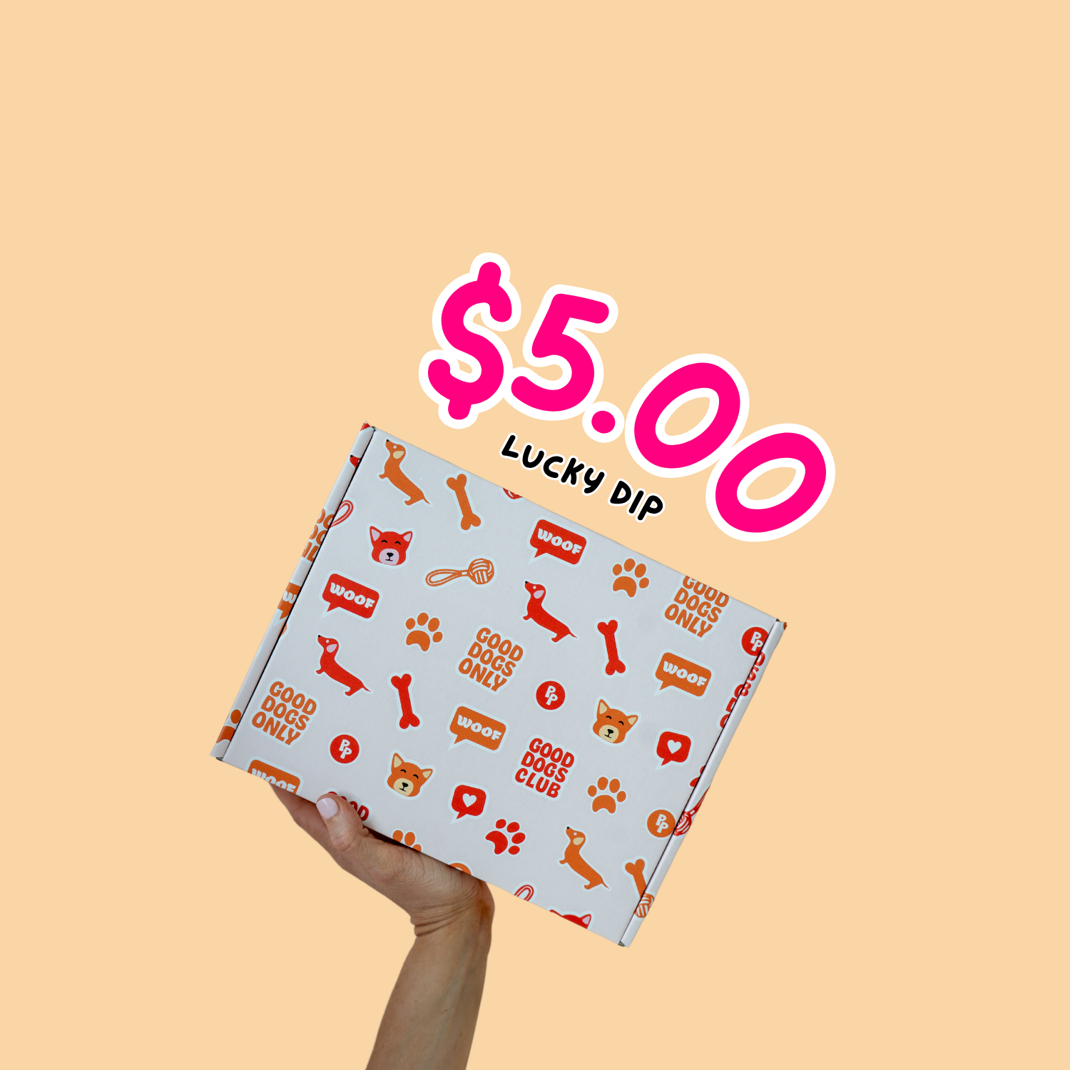 $5 LUCKY DIP
