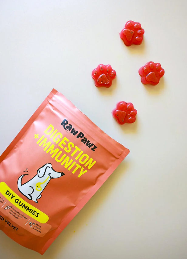 DIY Gummies Digestion + Immunity - Raw Pawz