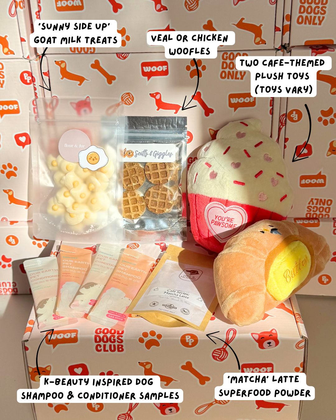 The Barkfast Club Box